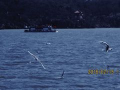 -东澳岛