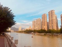 -光明港公园