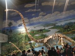-自贡恐龙博物馆