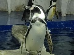 -太平洋海底世界