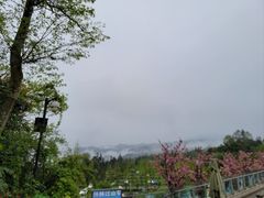 -碧峰峡风景区