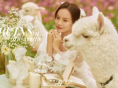 -经典婚纱摄影美学馆·私人定制