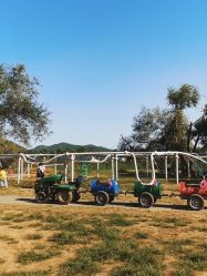 -浅山蜜塘奇妙乐园·亲子营地