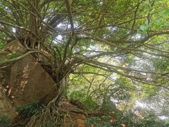 -草庵摩尼教遗址公园