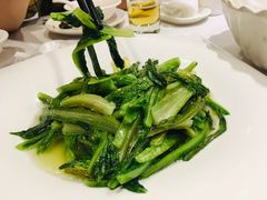 清炒油麦菜-田园·晶品会(鹤庆路店)