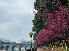 -望江楼公园
