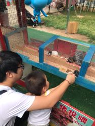 -萌宠亲子动物乐园(槐房万达店)