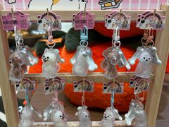 -鹏佳腾学生文创