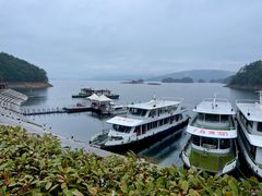 -千岛湖东南湖区