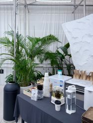-BOF HAIR BY HONTO