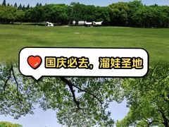 -上海滨江森林公园