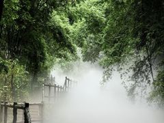 -青城山