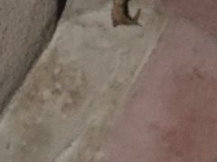 -北运河水利风景区