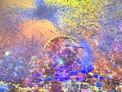 -海合安青岛极地海洋公园