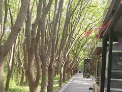 -同里国家湿地公园
