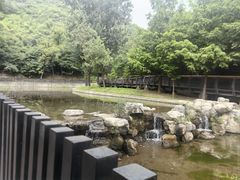 -白水寺森林公园