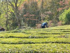 -敬亭山风景名胜区