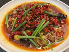 -洲际酒店-彩丰楼中餐厅