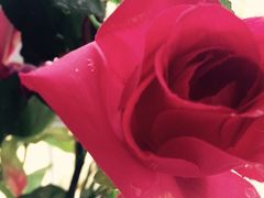 御庭精品酒店(秦淮河店)-御庭精品酒店(秦淮河店)