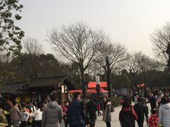 -秀丽东方