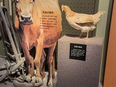 -台州博物馆