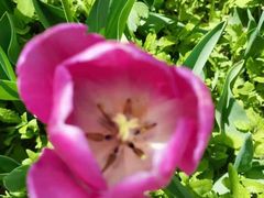 -永定河休闲森林公园