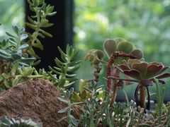 -北马山庄植趣咖啡
