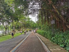 -顺峰山公园