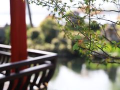 -杭州西湖柳莺里酒店