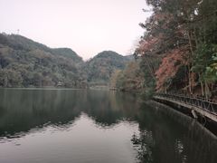 -江西阳明山国家森林公园