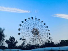 -南沙蒲洲花园