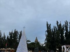 -海南清水湾莱佛士酒店