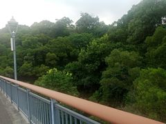 -金鸡山公园