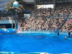 -海合安成都极地海洋公园
