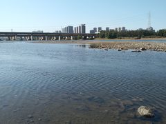 -长白岛森林公园
