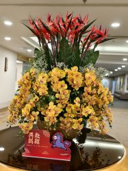 -北京明德医院·医疗美容