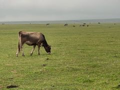 -新疆那拉提国家旅游度假区