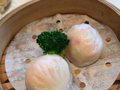 -新雅粤菜馆(南京东路店)