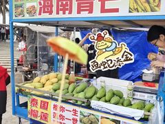 -东海岛旅游度假区