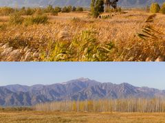 -野鸭湖国家湿地公园