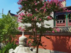 -天津大悲禅院