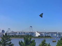 -台场海滨公园船码头