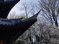 -龙华寺