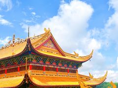-东莞市大岭山森林公园