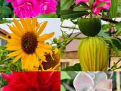 -羊亭河湿地公园