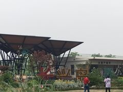 -上海长兴岛郊野公园