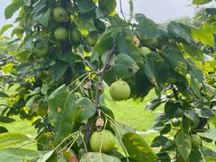 -梁鸿国家湿地公园