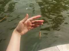 -酷鱼垂钓CLUB(朝阳区博大路店 )