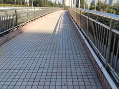 -深圳湾公园(南山区)