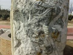 android_upload_pic-泰山花样年华景区